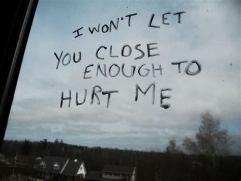I Wont Let You Close Enough To Hurt Me Pictures Photos And Images For