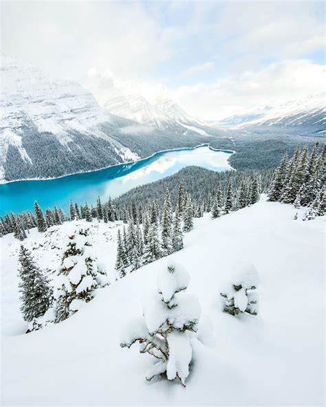 Peyto Lake Banff National Park Alberta Canada Rbeamazed