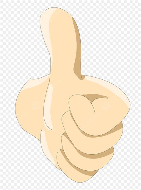 Big Thumb Praise Like Gesture Cartoon Like Gesture Illustration Png