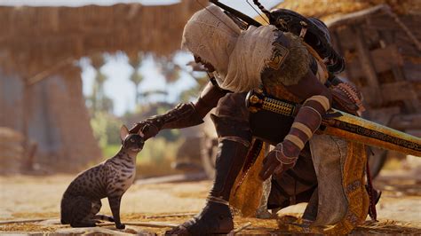 Fond Décran Assassins Creed Jeux Vidéo Bayek Ubisoft Assassins