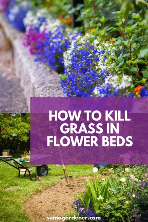 I think that weed control fabric is necessary if you are going to put small stones in your landscape. How To Kill Grass In Flower Beds: What You Need To Know