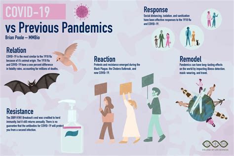 Examining Covid 19 Versus Previous Pandemics