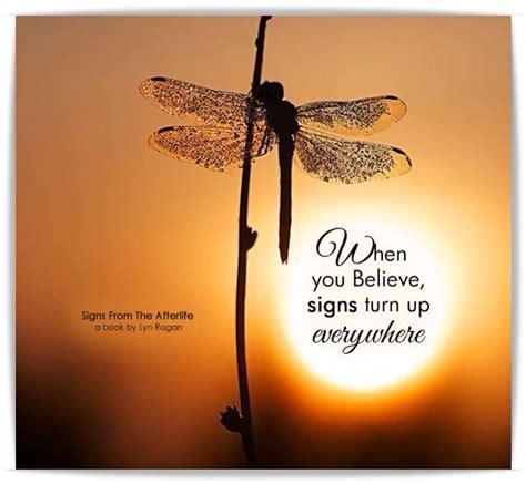 Dragonfly Dragonfly Quotes Inspirational Quotes Quotes