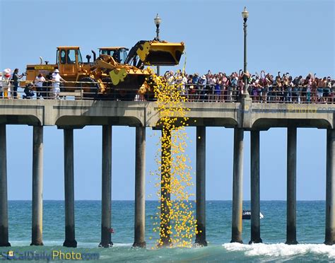 Love n' bloom florist in huntington beach. A Rubber Duck's Journey in Huntington Beach | Southern ...