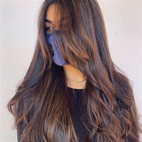 How To Create Dark Brown Hair With Highlights Wella Professionals