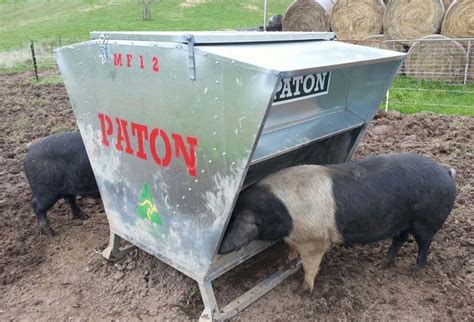 Paton Livestock Equipment Pig Feeders Archives Paton Livestock
