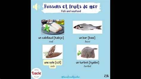 Learn French Fish And Seafood 1poissons Et Fruits De Mer 1 French