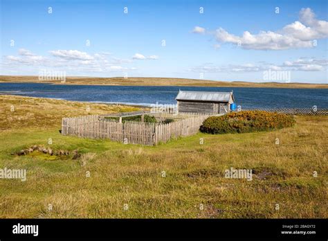 Planting Garden In Darwin Harbour Darwin East Falkland Falkland