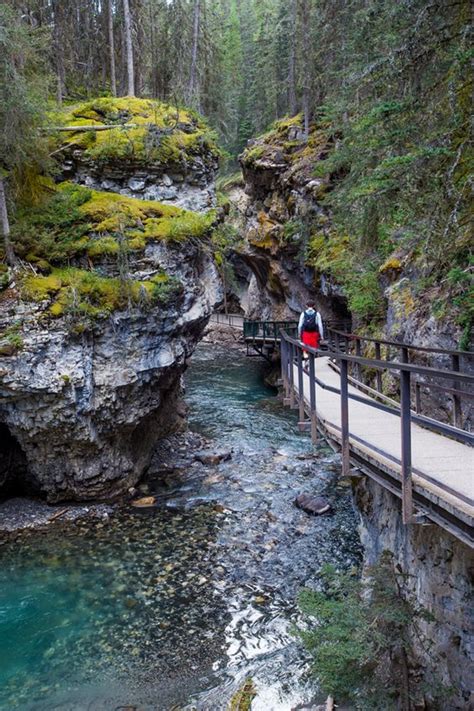 Johnston Canyon Hike Best Hikes In Banff National Park Canada