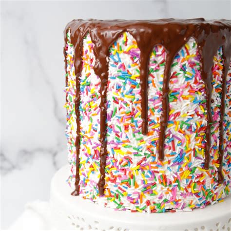Chocolate Cake With Rainbow Sprinkles
