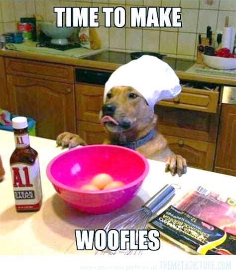 Time To Make Woofles Dog Puns Funny Animal Pictures Easy Dog Treats
