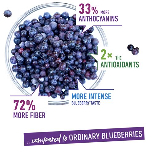 Wild Blueberries Health Benefits Recipes And More Wild Blueberries