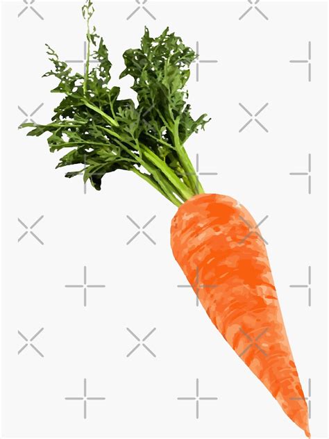 Carrot Sticker For Sale By Musclepop Redbubble