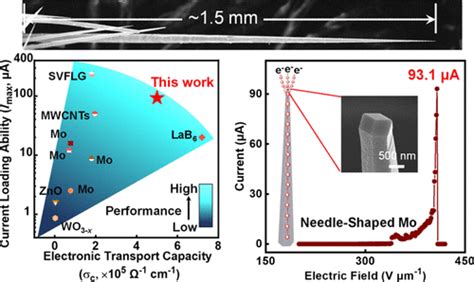Needle Shaped Single Crystalline Molybdenum Micro Nano Structure With