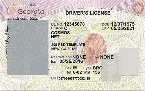 Georgia Drivers License Template Drivers Licence Templates