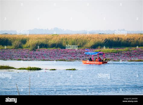 Red Boat In The Lake Known As Red Lotus Sea Talay Bua Daeng