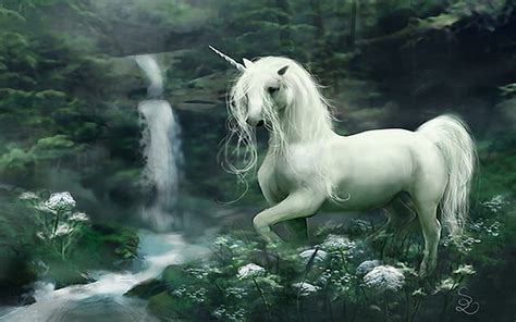 Hd Wallpaper White Unicorn Spirit Lovely Spiritual Beautiful