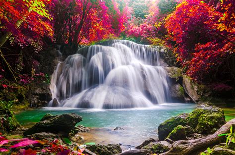Wall Mural Waterfall Landscape Red Tree Leaves Rocks Lunares Store