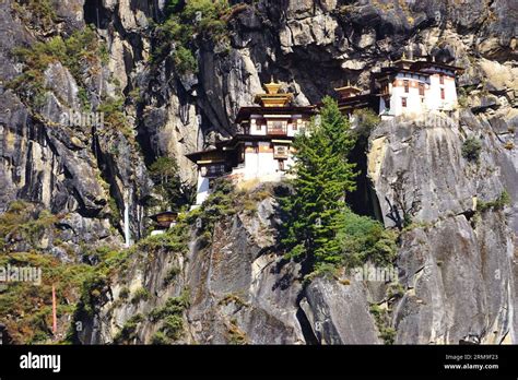 Bhutan S Famous Tiger S Nest Monastery Taktsang Perched Atop A