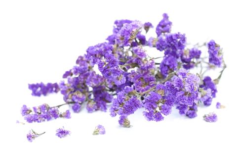 Premium Photo Bunch Of Purple Flowers On White Background