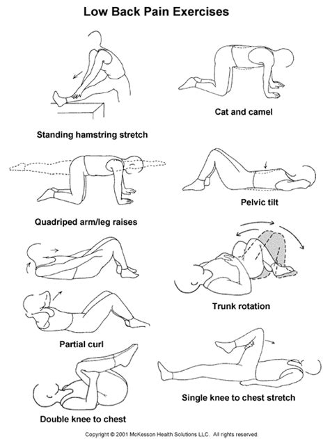 Sports Medicine Advisor 20031 Low Back Pain Exercises Illustration