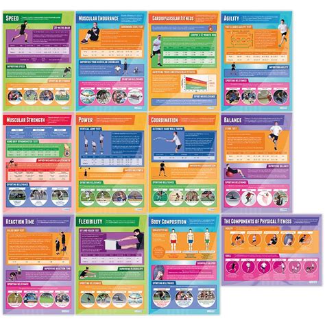 Buy Components Of Physical Fitness S Set Of 12 Pe S Gloss Paper