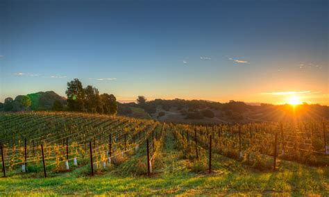 Interesting Facts About Napa Valley In California Region Winetourism Com