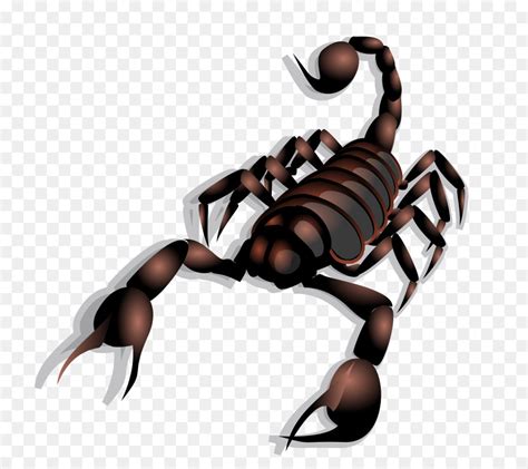 Scorpion Clipart Images 10 Free Cliparts Download Images On