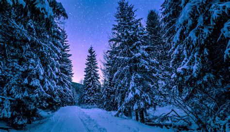 Starry Winter Night 4k Ultra Hd Wallpaper Background Image