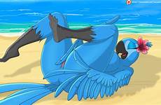 rio jewel rule34 xxx rule 34 bird blue female anthro ass avian deletion flag options pussy macaw breasts