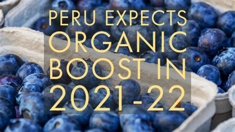 Peru Expects Big Boost In Organic Blueberry Exports In 2021 2022