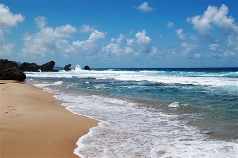 East Coast Barbados Most Beautiful Beaches Beautiful Beaches Barbados