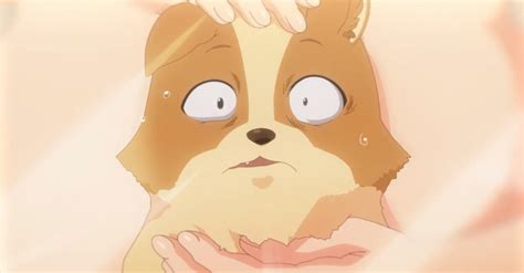 My Life As Inukai-San's Dog Anime