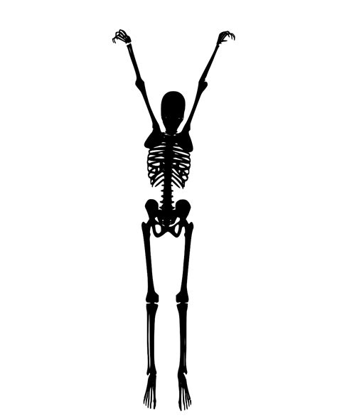 Svg Skeleton Human Bone Free Svg Image And Icon Svg Silh