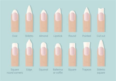 the ultimate guide to nail shapes the south east