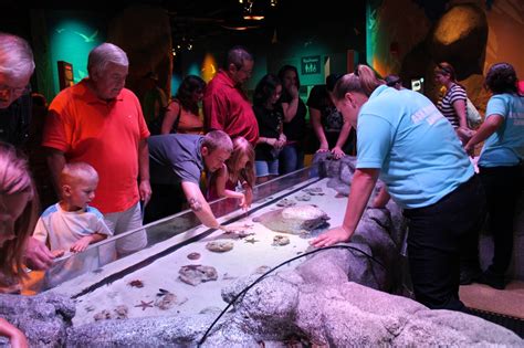 The Missouri Mom Sea Life Aquarium Kansas City Mo