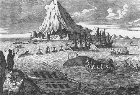 Eighteenth Century Engraving Showing Dutch Whalers Hunting Bowhead