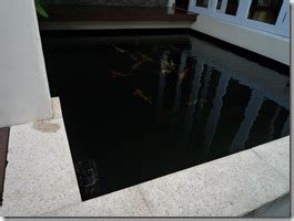 That way, you can set a pump in a single spot to discharge all the water. My 3 Ponds: Simple Surface Skimmer for Koi pond