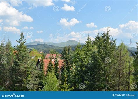 Tornik Zlatibor Mountain Stock Image Image Of Landscape 75624331