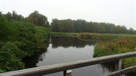 Mobile photo upload /het loetbos. Het Loetbos (Lekkerkerk, Nederland) - Beoordelingen