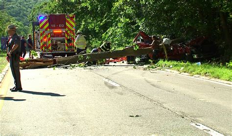 1 Dead 2 Hospitalized From Tree Falling On New York Parkway United