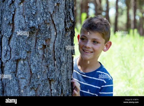 Boy Hiding Behind Tree In Woods Stock Photo Alamy