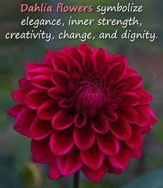 ^ foxglove symbolism and the meaning of foxgloves in the language of flowers. Dahlia Flower: Meaning and Interesting Facts | Dahlia ...