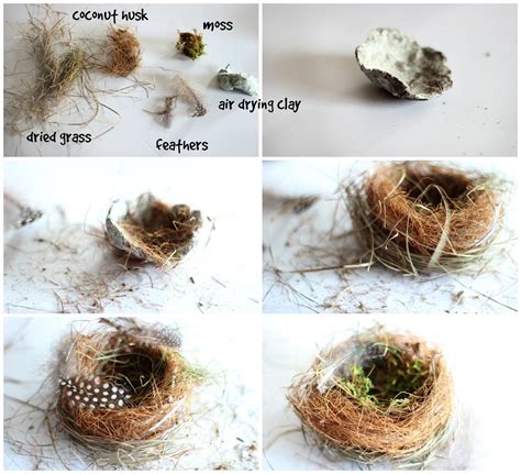 Craftberry Bush Making A Realistic Birds Nest Bird Nest Craft Bird