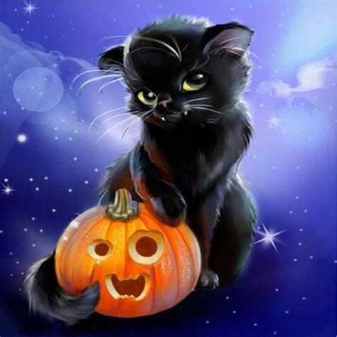 Trick Or Treat Kitten Black Cat Halloween Halloween Pictures Halloween Cat