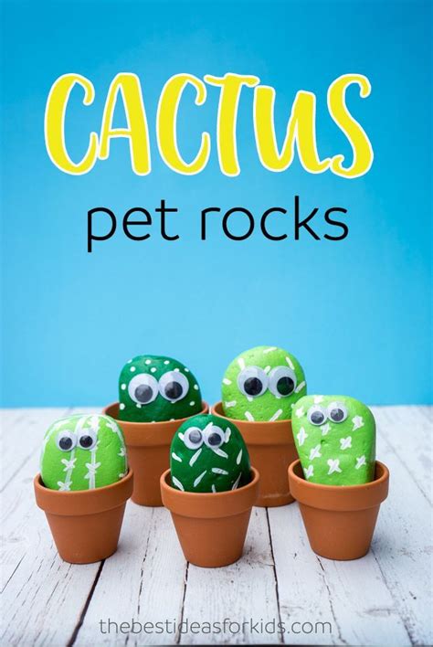 And this fun felt succulent wreath… or possibly this simple desert party… Pet Cactus Rocks | Camping crafts, Fun crafts for kids ...