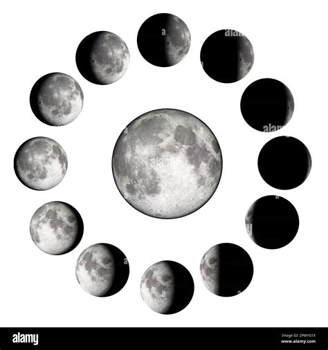 Moon Phases Infographic Showing The Monthly Lunar Cycle The Clipping