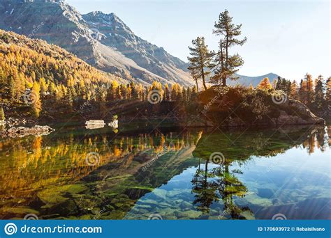 Saoseo Lake Poschiavo Switzerland Stock Photo Image Of Clear