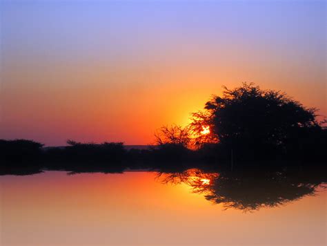 Golden Sunset Reflection Free Stock Photo Public Domain