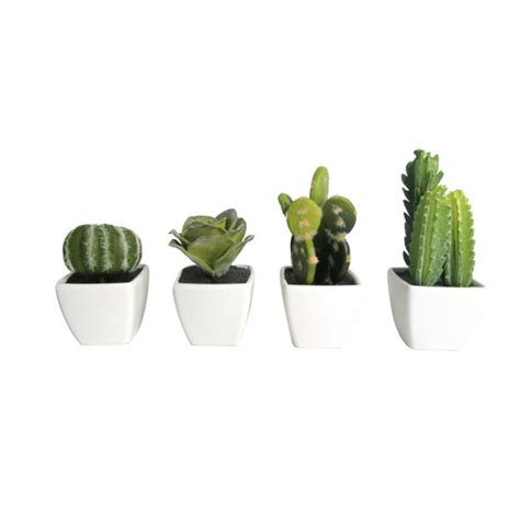 Set Of 4 Artificial Mini Succulent And Cactus Plants In White Cube Shaped